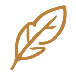 Step Icon